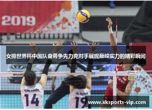女排世界杯中国队奋勇争先力克对手展现巅峰实力的精彩瞬间